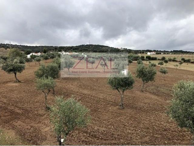 Terreno venda em Monforte, Portalegre