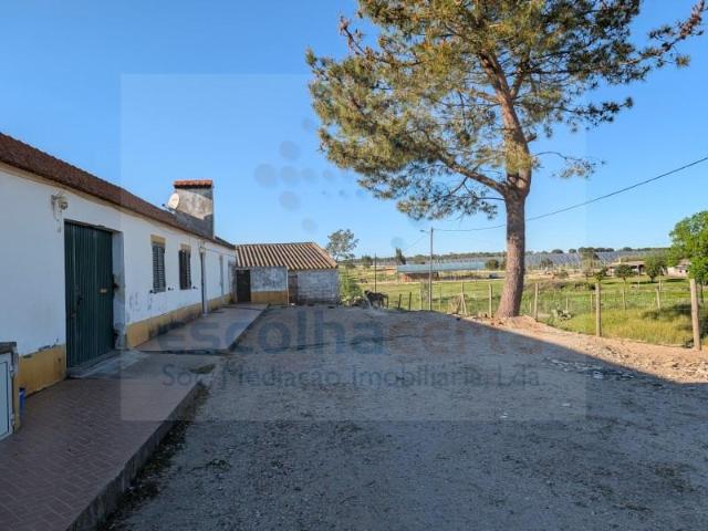 Terreno venda em Colonato de Santo Isidro de Pegões, Montijo