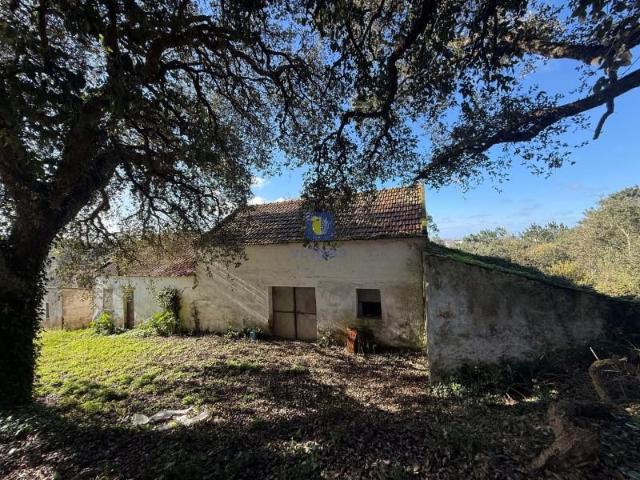 Terreno venda em Casal da Toiça, Óbidos