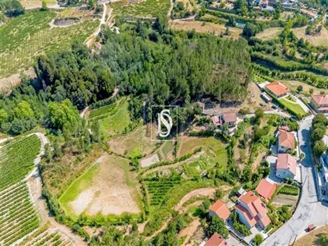 Terreno venda em Porto