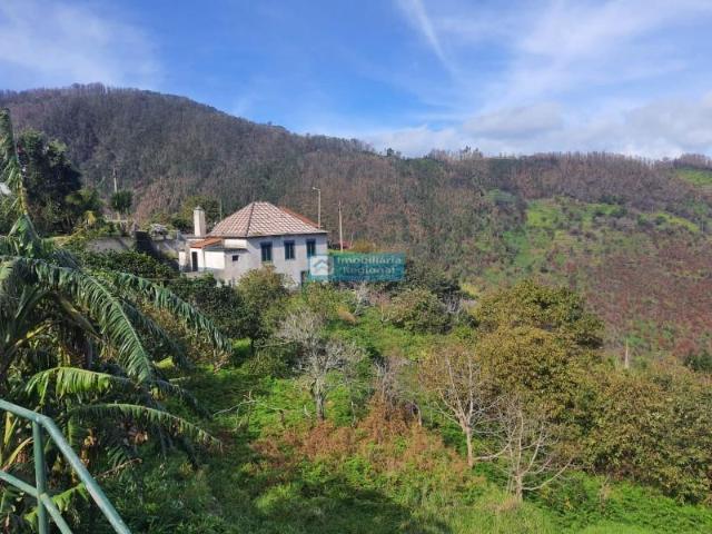 Casa venda em Igreja, Porto Moniz