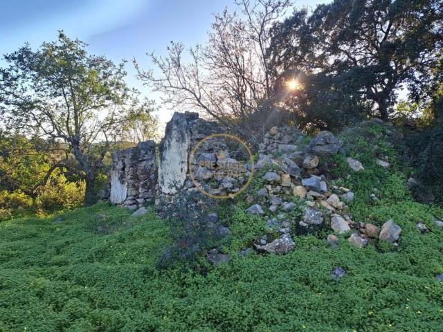 Casa venda em São Brás De Alportel, Faro