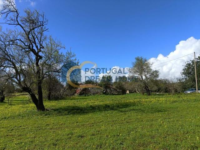 Casa venda em São Brás de Alportel, Faro