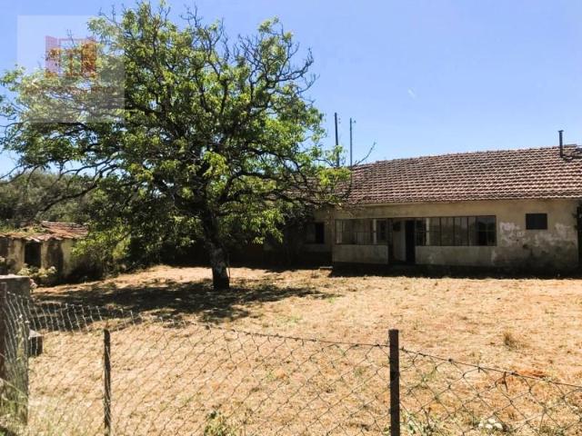 Terreno venda em Santarém