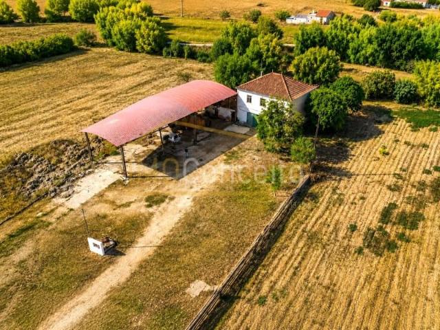 Terreno venda em Torres Novas, Santarém