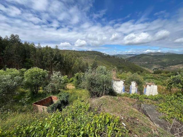 Casa venda em Castelo Branco, Vila De Rei