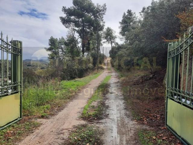Terreno venda em Vila Nova de Foz Côa