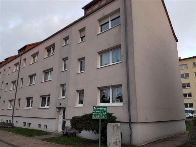 Apartment mieten in Belgern, Sachsen
