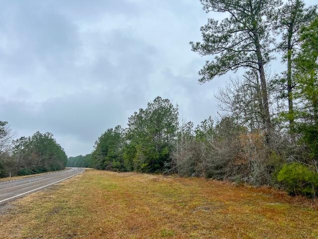 Land for sale in Colmesneil, Texas