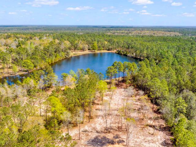 Land for sale in Seminole, Alabama