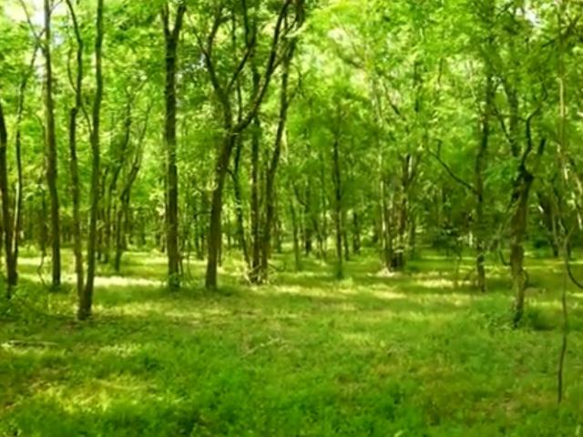 Land for sale in Tennessee