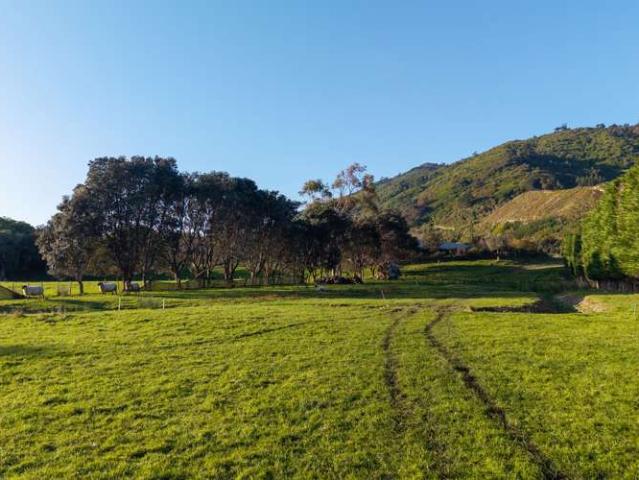 Property for sale in Waikanae, Wellington