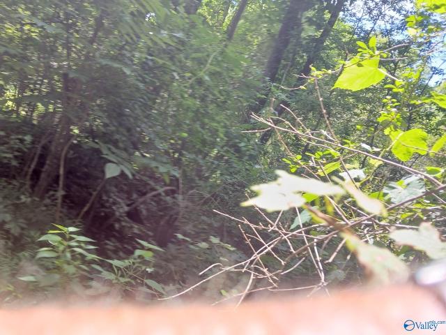 Land for sale in Grant, Alabama
