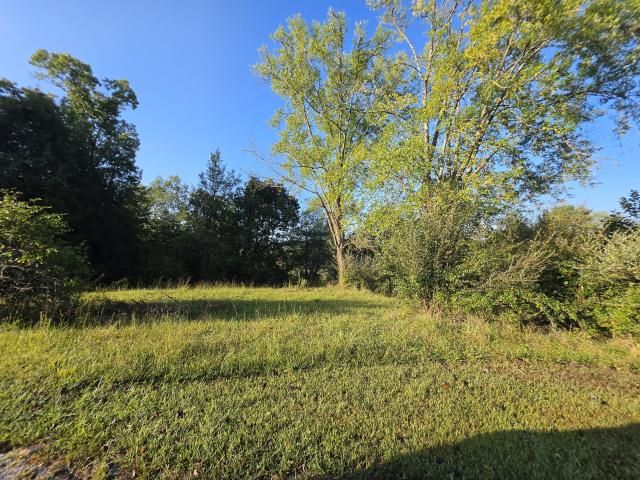 Land for sale in Palmer, Middle Tennessee