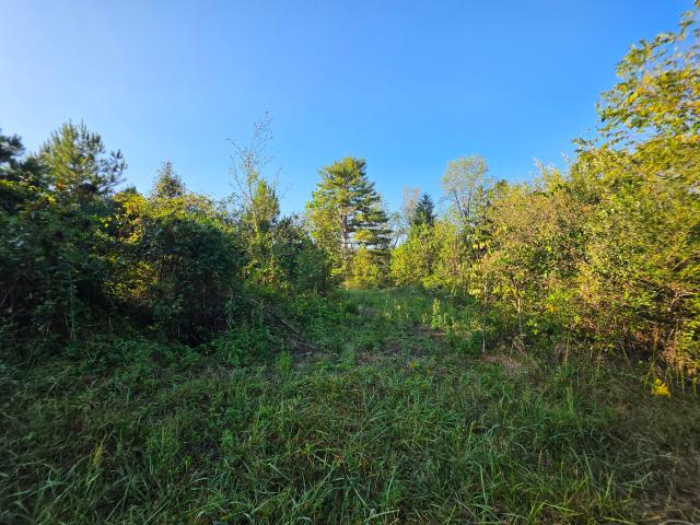 Land for sale in Palmer, Middle Tennessee