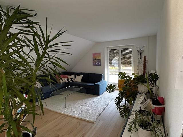 Apartment mieten in Bern