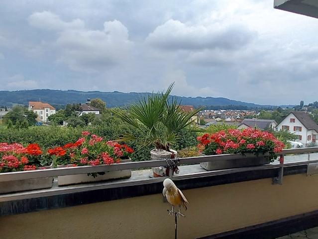 Apartment mieten in Oetlikon, Würenlos