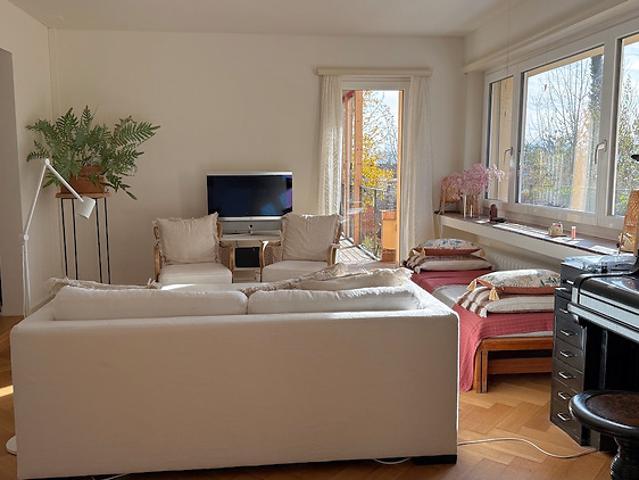 Apartment mieten in Einigen, Zürich