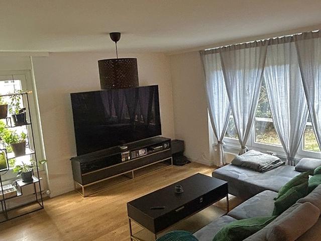 Apartment mieten in Einigen, Zürich