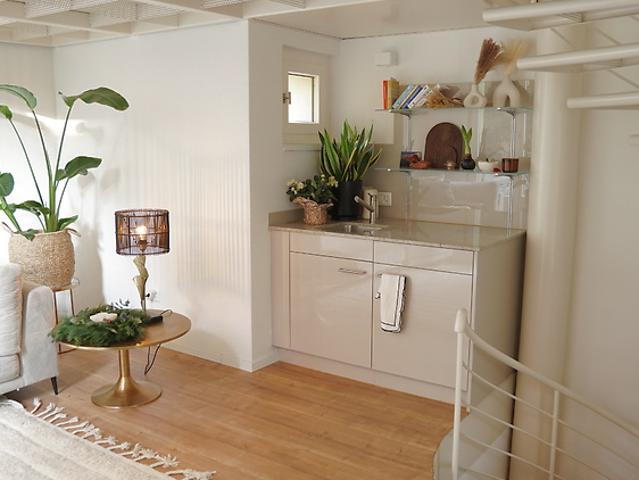 Apartment mieten in Einigen, Zürich