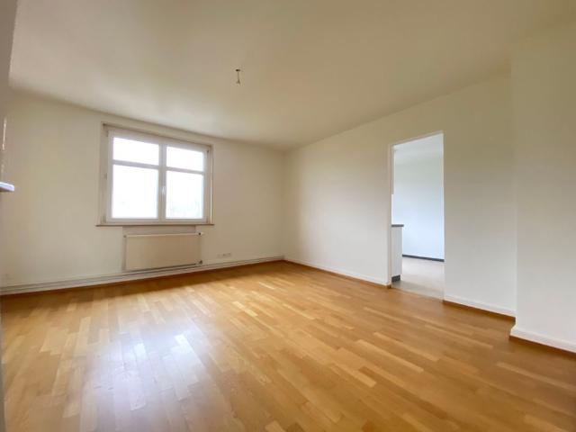 Apartment mieten in Metzerlen-Mariastein, Solothurn