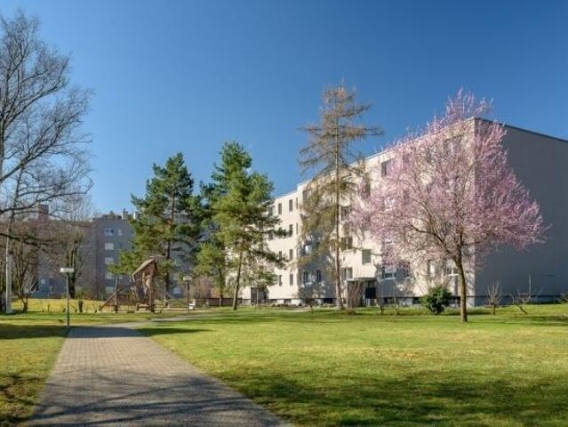 Apartment mieten in Dornach, Solothurn