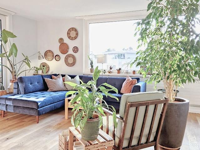 Apartment mieten in Wallisellen, Zürich