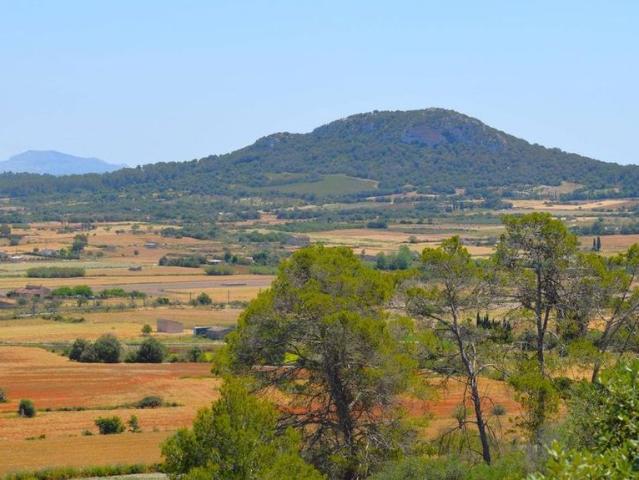 Casa en alquiler en Pla de Mallorca, Baleares