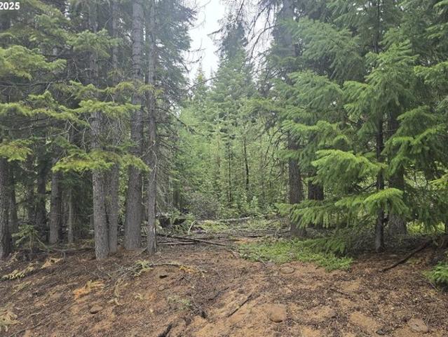 Land for sale in Oregonia