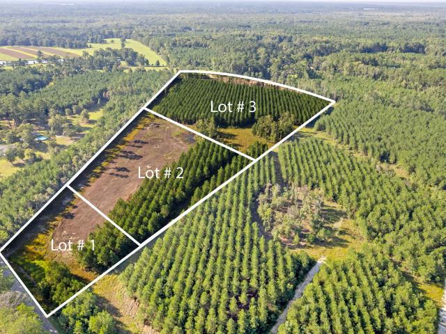 Land for sale in Ridgeville, South Carolina