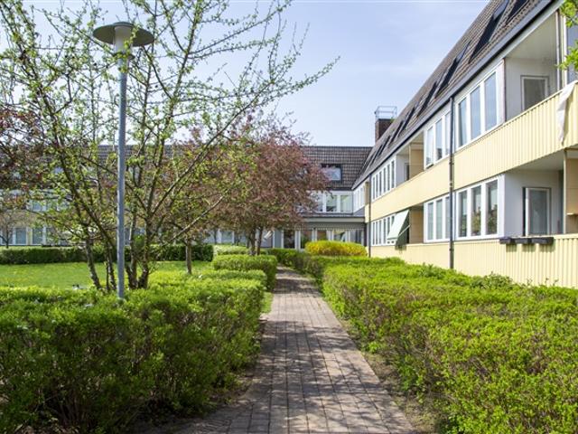 Lägenhet hyra i Ljungbyhed