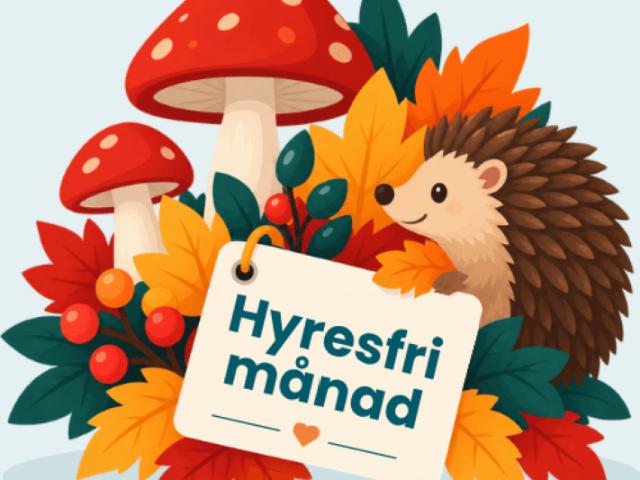 Lägenhet hyra i Norrköping, Östergötland