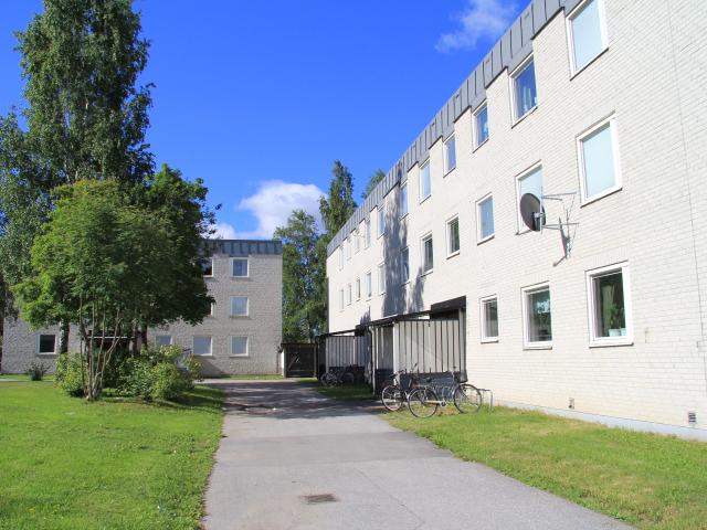 Hus hyra i Örnsköldsvik, Västernorrland