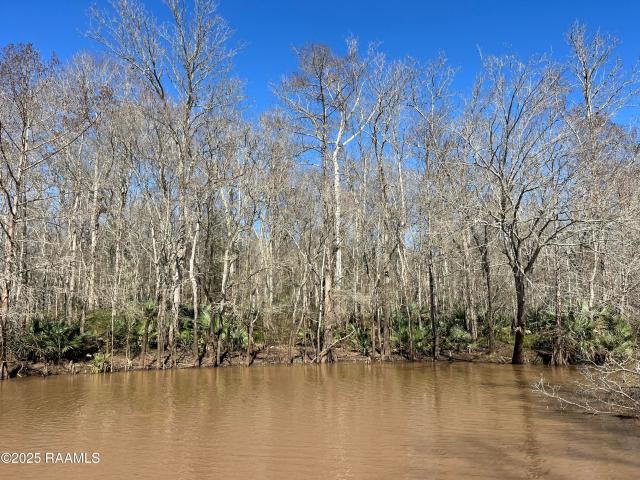 Land for sale in Port Barre, Louisiana