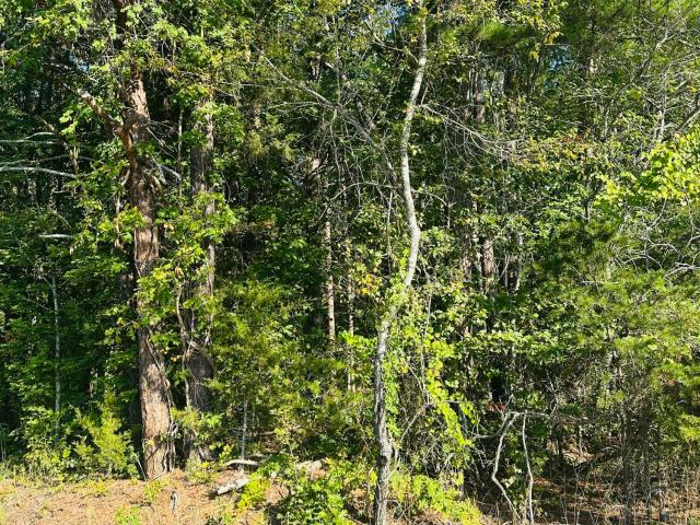 Land for sale in Person County, North Carolina