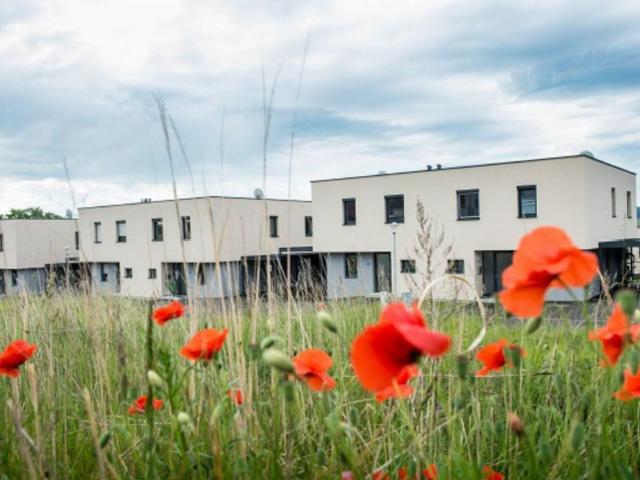 Haus mieten in Niederösterreich
