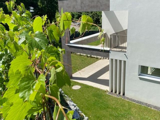 Haus mieten in Summersiedlung, Klosterneuburg
