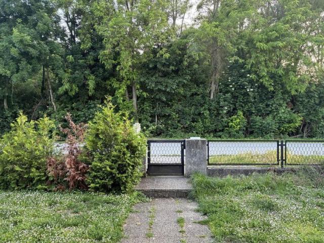 Haus kaufen in Eckartsau, Niederösterreich