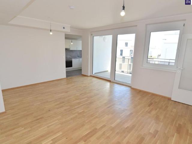 Wohnung mieten in Schwechat, Niederösterreich