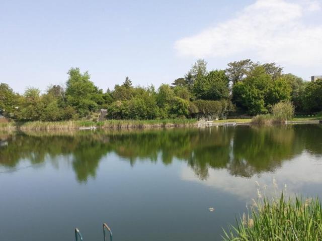 Haus kaufen in Niederösterreich