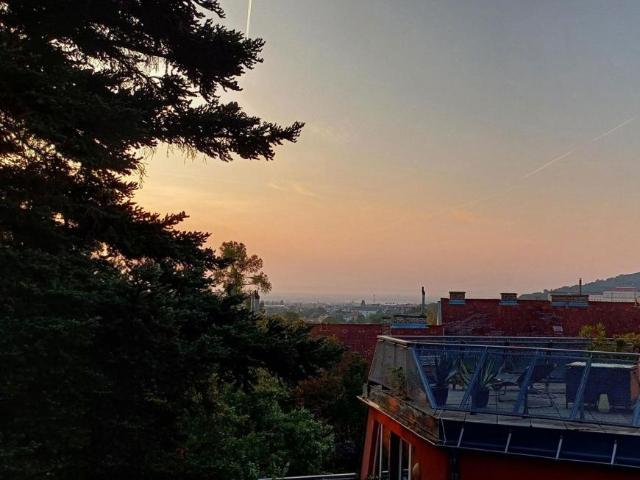 Wohnung kaufen in Schöffelstadt, Mödling