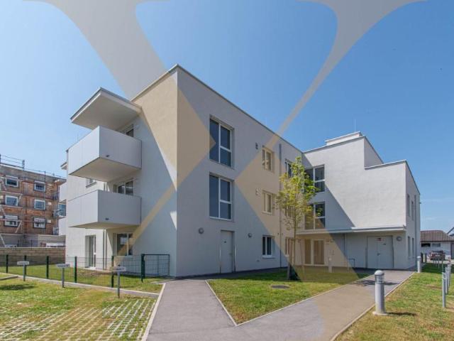 Gewerbe kaufen in Innere Stadt, Linz