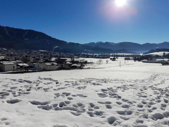 Wohnung kaufen in Seefeld in Tirol, Tirol