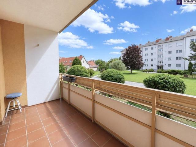 Wohnung kaufen in Ebergassing, Niederösterreich