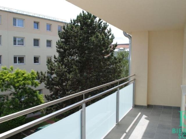 Wohnung mieten in Baden, Niederösterreich