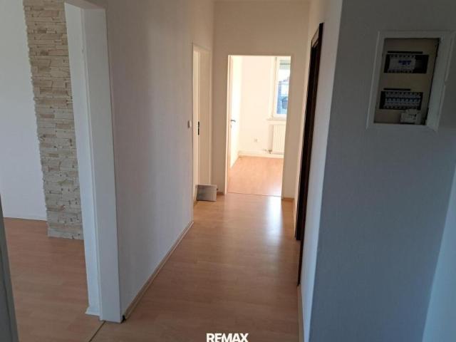 Wohnung mieten in Niederösterreich
