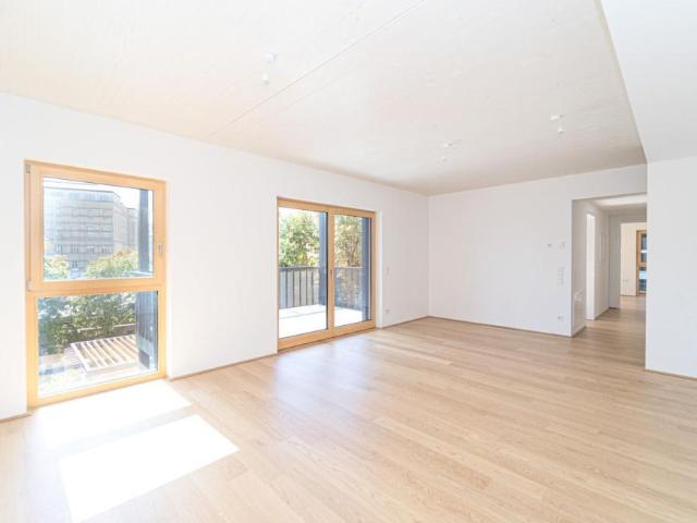 Wohnung kaufen in Schöffelstadt, Mödling