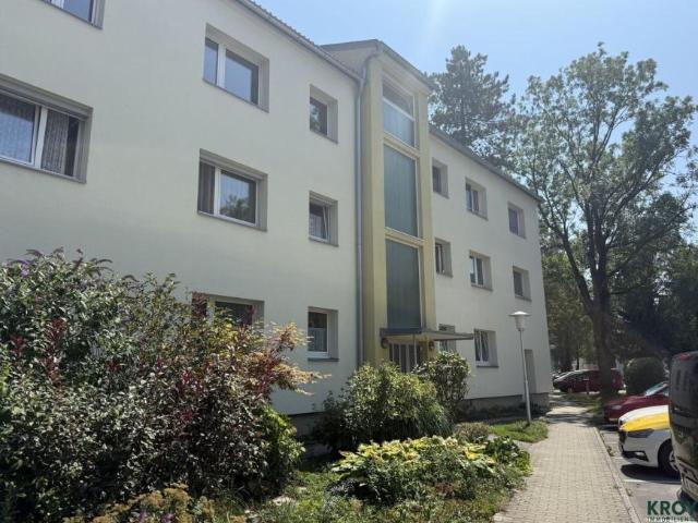 Wohnung mieten in Altstadt, Salzburg