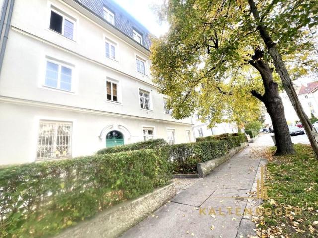 Wohnung mieten in Innere Stadt, Wien