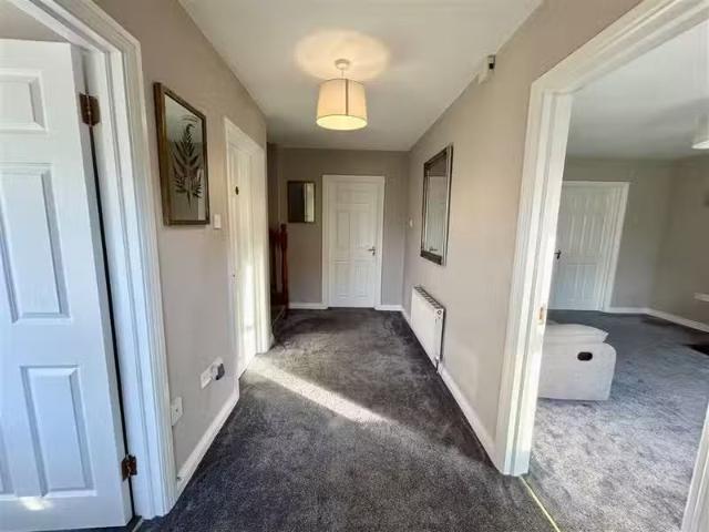 House to rent